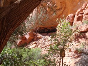 Rock cave and ruins and tree