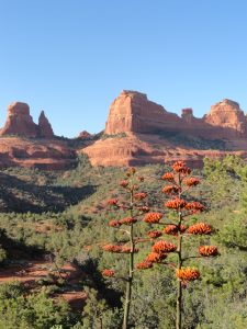 Sedona